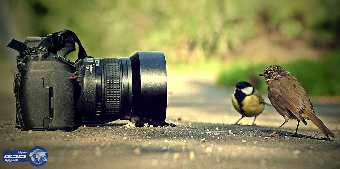 خمسينية تتخلى عن عملها المكتبي لتجني أموالًا طائلة من السفر حول العالم