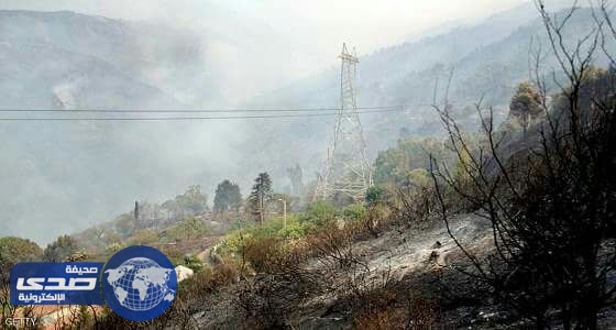 الحرائق تشتعل في مئات الهكتارات من الغابات في الجزائر
