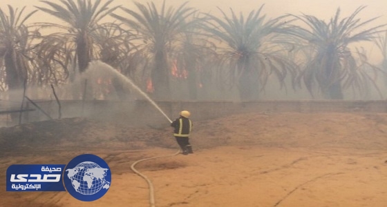 الدفاع المدني يخمد حريق بنخيل مهملة في وادي الدواسر