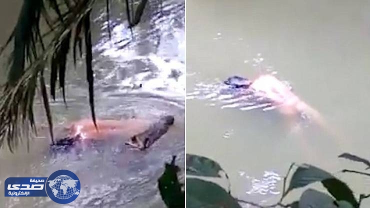 بالفيديو.. ساحرة تجبر تمساحاً على إعادة جثة رجل افترسه