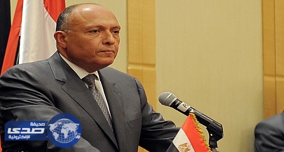 وزير الخارجية المصري يبحث مع نظيره الأردني اتخاذ خطوات ضد التصعيد الإسرائيلي بالقدس