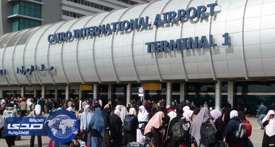 إنقاذ حياة قرد في جمرك مطار القاهرة بعد إختفاء موظف الحجر البيطرى