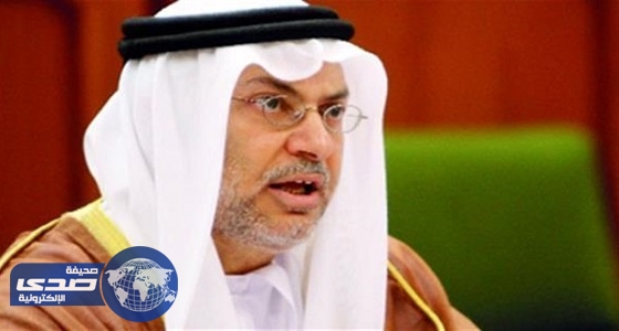 قرقاش: اعتماد قطر على الحسابات الوهمية أصبح مكشوفًا
