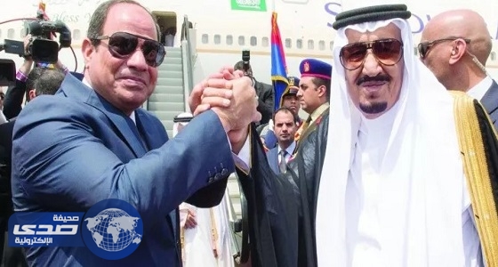 ⁠⁠⁠السفير المصري: قطر تهدد الأمن القومي في العالم