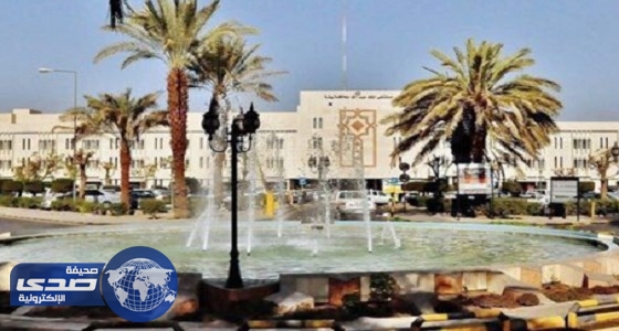 27 ألفا أجروا فحوصات ما قبل الزواج في بيشة خلال 10 أشهر