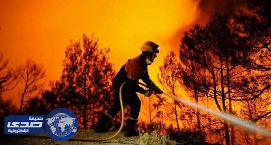 حرائق تتلف مئات الهكتارات من الأشجار الغابية بالجزائر
