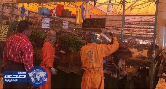 بالصور.. أمانة الرياض تتصدى لانتشار الحشرات في مباسط الورقيات بسوق عتيقه