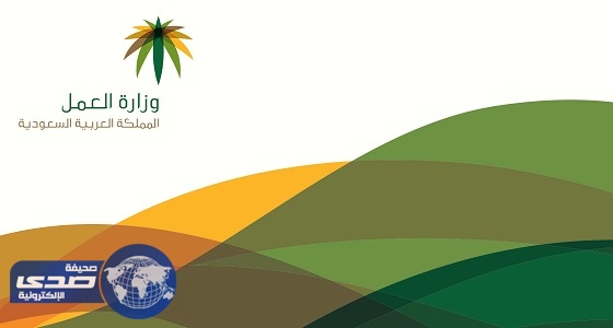 ” العمل ” : ” فتاة الفيديو ” تمتلك منزلاً ومعاشاً ضمانيا