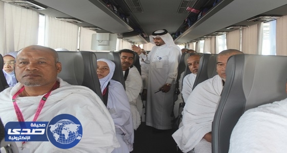 مكتب إرشاد الحافلات يرشد 700 ألف حاج وحافلة في مكة والمدينة