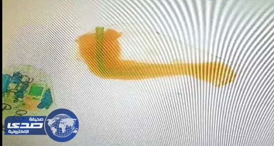 ضبط مسافر قبل تهريبه لذراع بشري بمحطة أتوبيس