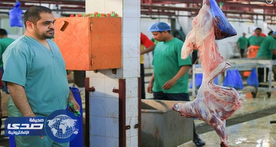 بالصور.. أمانة الرياض توجه ذابحي الأضاحي في المنازل بالطرق الآمنة