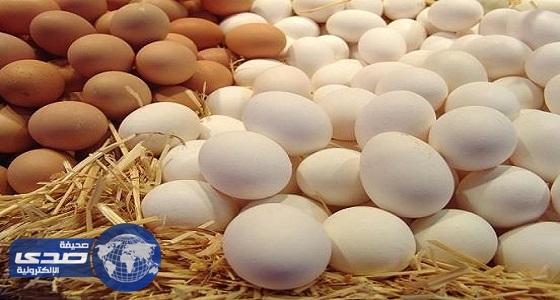 الزراعة: أسواق المملكة خالية من البيض الملوث