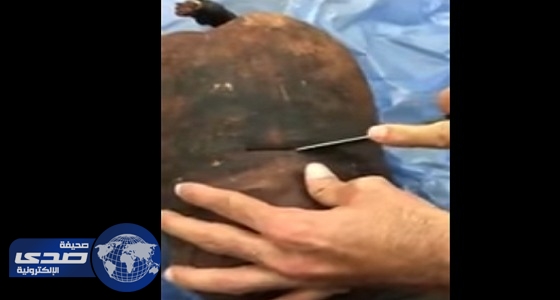 بالفيديو.. طريقة قديمة لحفظ التمر 100 عام باستخدام جلد الغنم