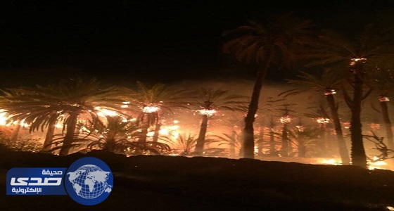 ⁠⁠⁠⁠⁠إخماد حريقاً اندلع في ٦ مزارع متجاورة بـ &#8221; دومة الجندل &#8220;