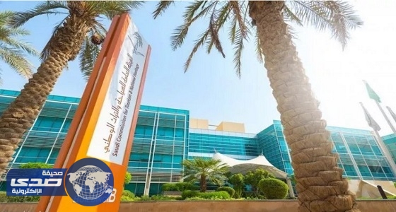 قصر العمل في استخراج التأشيرات على المواطنين