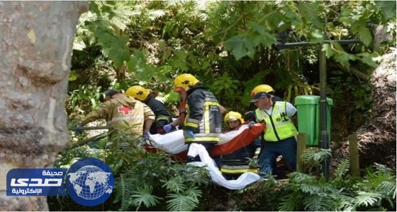 مقتل وإصابة 62 شخصاً إثر سقوط شجرة معمرة بالبرتغال