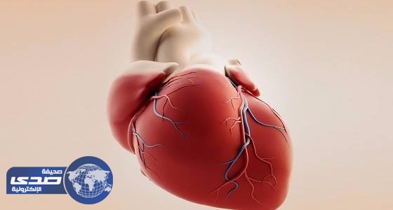 بالفيديو.. متحف ملكي يعرض أكبر قلب على وجه الأرض