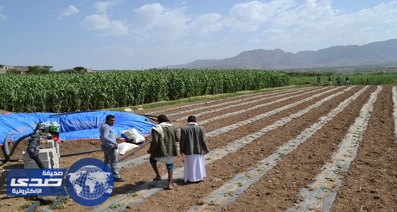 اعتماد مشروع بقيمة 36 مليون دولار لدعم الإنتاج الزراعي في اليمن