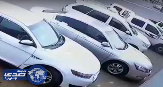 بالفيديو.. لحظة سرقة شاب لخروف من سيارة في صبيا