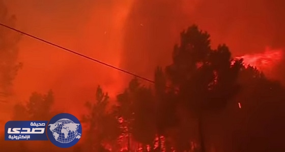 بالفيديو.. حرائق الغابات المتواصلة في البرتغال