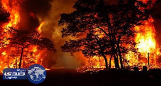 حريق ضخم يجتاح غابات جزيرة في اليونان