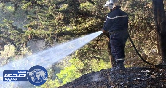 الحرائق تلتهم 32 ألف هكتار من غابات ولايات شرق ووسط الجزائر