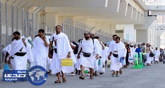 ” الأدلاء ” تعلن عدد الوفيات من الحجاج في المدينة