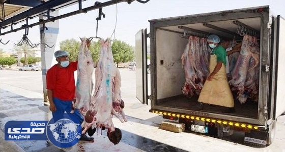 بلدية أملج تكثف أعمالها الرقابية استعداداً لموسم الحج