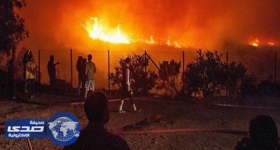 الجزائر: 1500 حريق تم إخمادها في مناطق الغابات