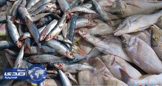 بلدية الدلم تتفاعل مع مواطن وثق عمال يصطادون الأسماك من الصرف الصحي