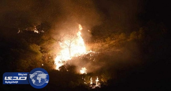 الحرائق تلتهم 2000 هكتار من الغابات في تونس