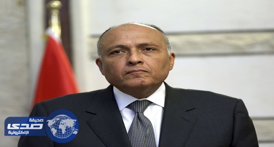 وزير الخارجية المصري يبحث مع نظيره الإيطالي علاقات التعاون الثنائية