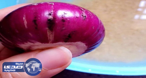 الخضيري يعلق على العفن الأسود بالبصل
