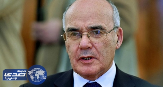 الجزائر تؤكد اهتمامها بتحقيق شراكة ” متميزة ” مع اليابان