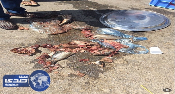 بالصور.. عمالة وافدة تبيع أسماكاً فاسدة في الرياض