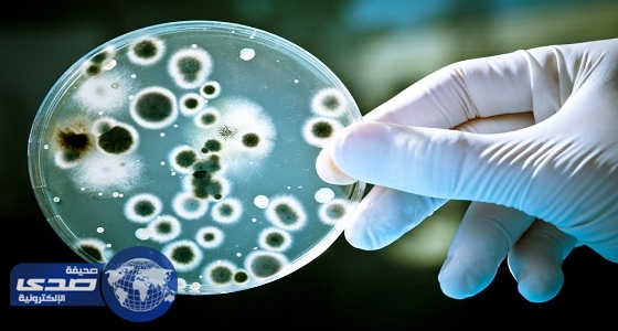 دراسة: مضادات البكتيريا لا تساعد الممرضين على مكافحة الجراثيم