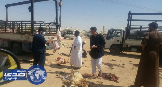 بالصور.. إزالة 127 مسلخا عشوائيا والقبض على 51 مخالفا في الرياض