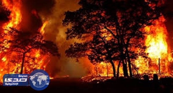 بالفيديو.. حرائق غابات ولاية أوريجون يجبر المئات على ترك منازلهم