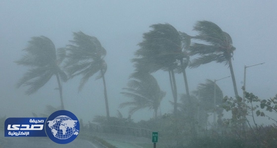 العاصفة ” كاتيا ” تتحول لإعصار على سواحل خليج المكسيك