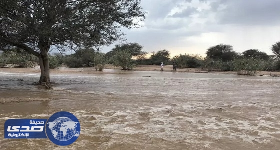 الأمطار تواصل التساقط على مرتفعات الطائف