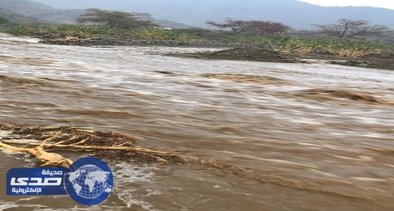 بالصور.. أمطار متوسطة إلى غزيرة على ربوع العين بمحافظة أضم