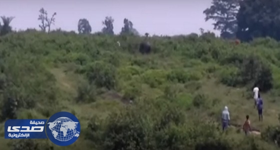 بالفيديو.. رجل مخمور حاول التقاط &#8221; سيلفي &#8221; مع الفيل فقتله
