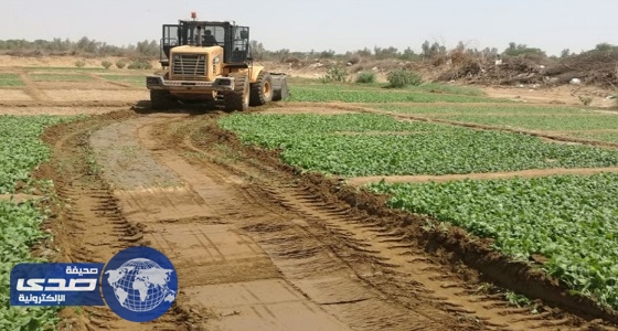 إزالة مزارع مخالفة تُسقى بمياه الصرف الصحي في مكة