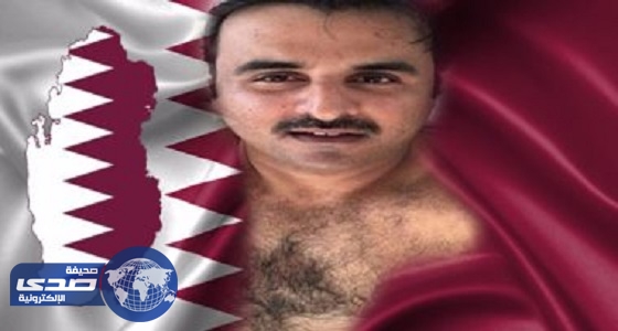 برلماني مصري معلقا على تحريفات الدوحة : قطر تحلم بتقسيم الدول العربية