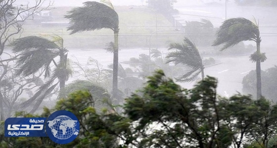 بالفيديو.. طائر عملاق يظهر في إعصار إرما