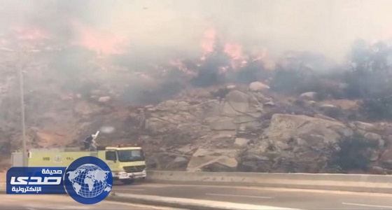 بالصور.. الدفاع المدني يسيطر على حريق هائل بأحد جبال بلجرشي
