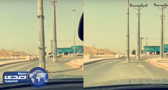 بالفيديو.. إهمال جسيم وتركيب أعمدة إنارة وسط الطريق في الرياض