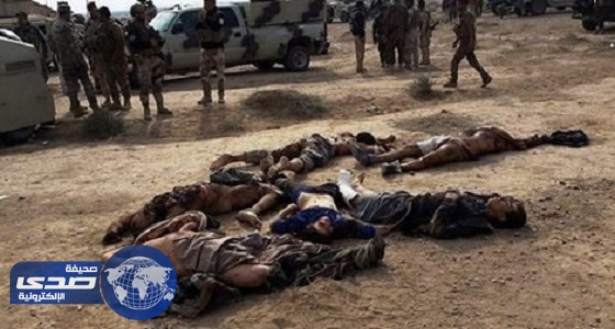 الاستخبارات العراقية: مقتل 43 داعشياً في قصف جوى بالأنبار