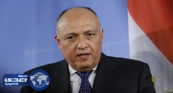 وزير الخارجية المصري: تصريحات مندوب قطر متدنية ومرفوضة