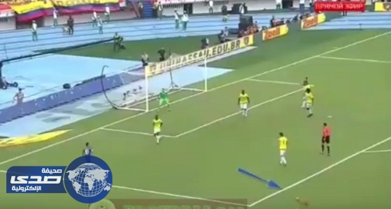 بالفيديو.. كلب يقتحم مباراة كولومبيا والبرازيل في تصفيات كأس العالم